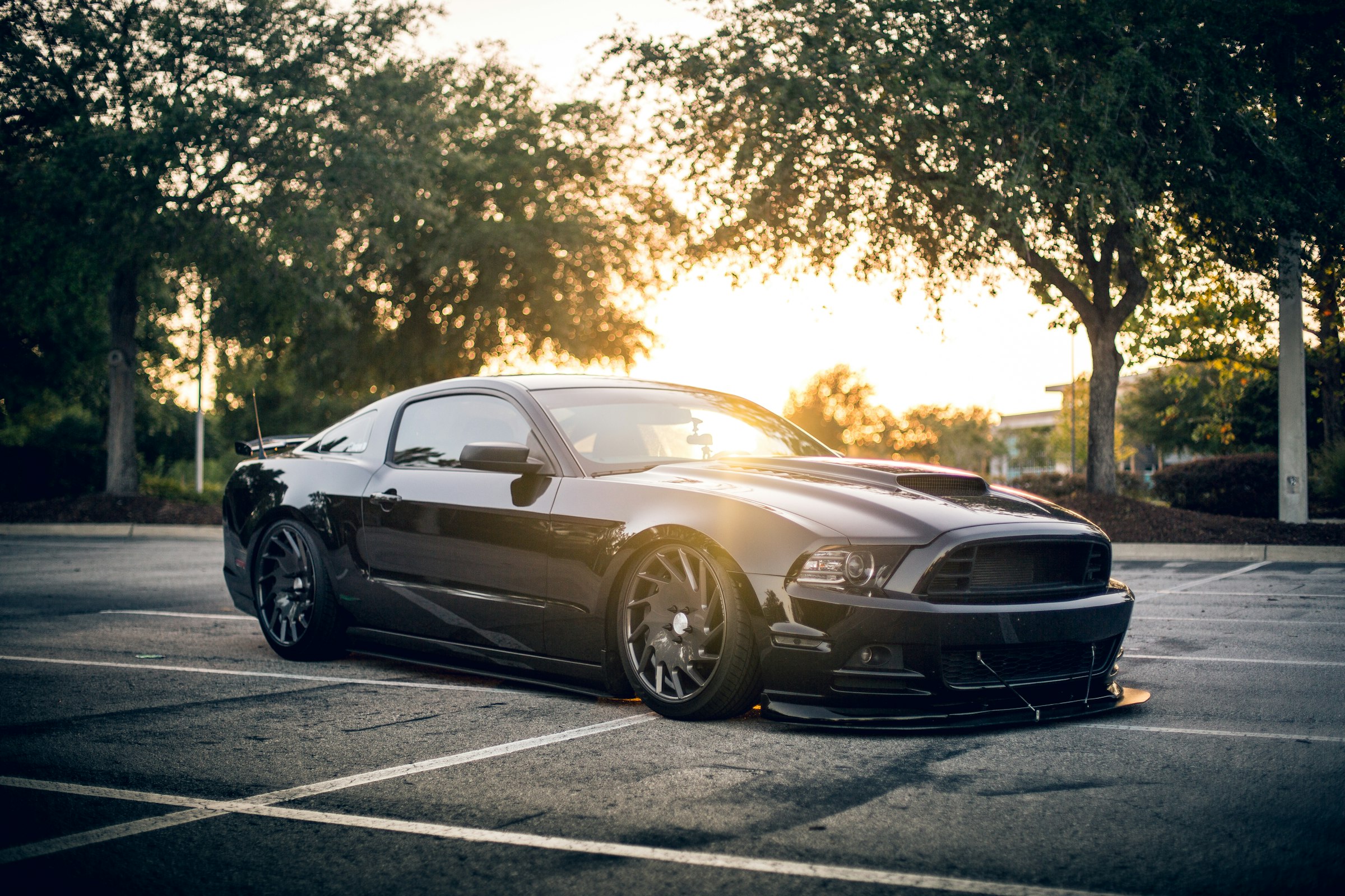 Black coupe in a sunlit car park